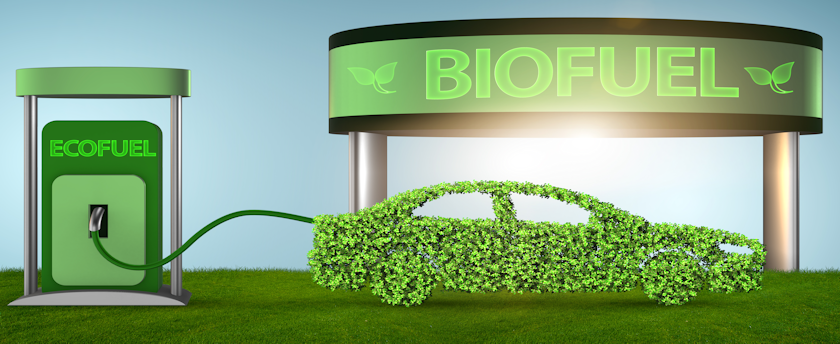 bio fuel