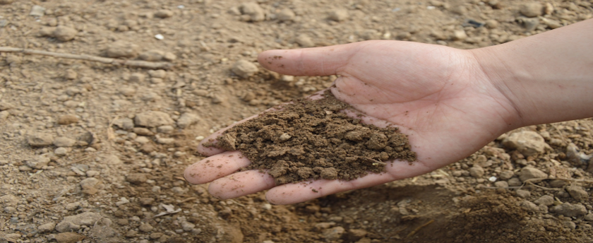 natural soils